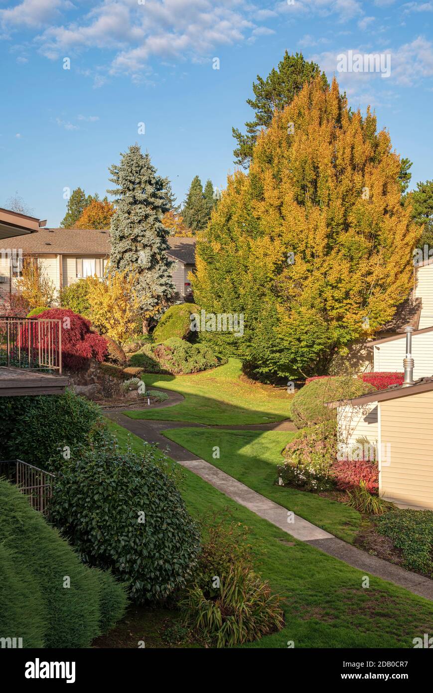 Backyard colors and plants in a neighborhood Gresham Oregon Stock Photo