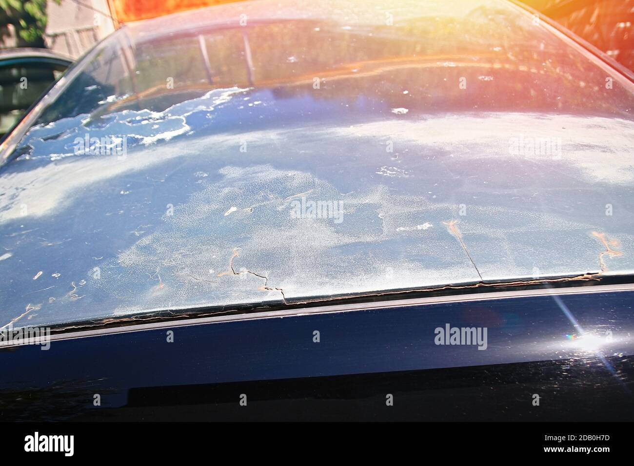 color wow dream coat directions