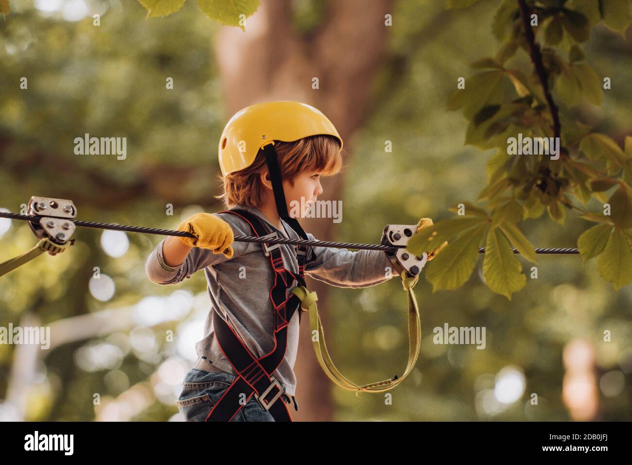 Happy child climbing in the trees. Children summer activities. Early