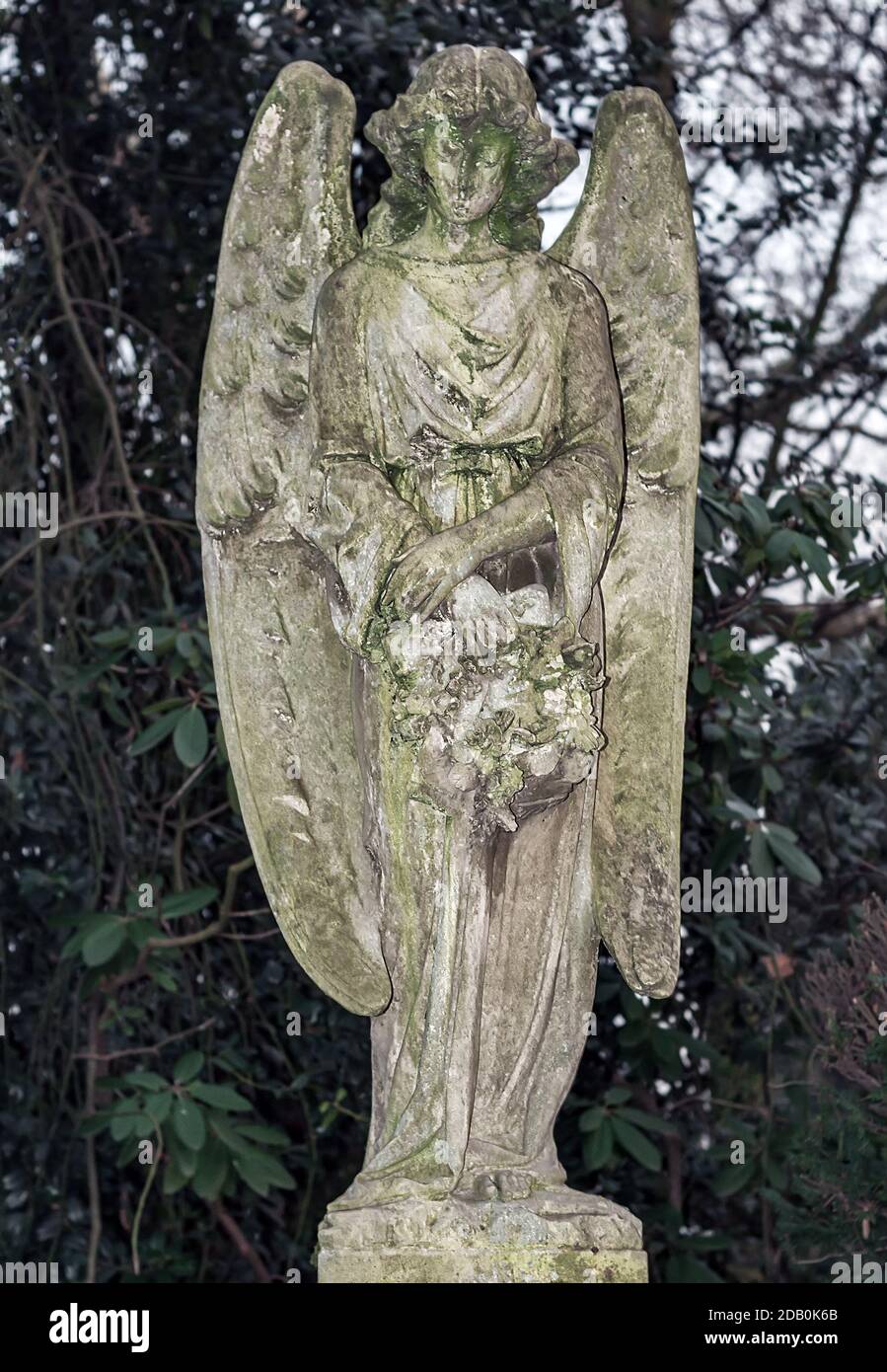 statues angel headstone on grave old cemetery Stock Photo Alamy