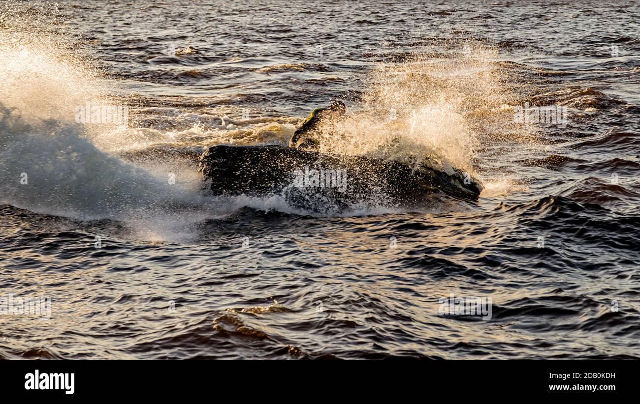 Jet Ski boat jump drive water scooter on waters splashes Stock Photo