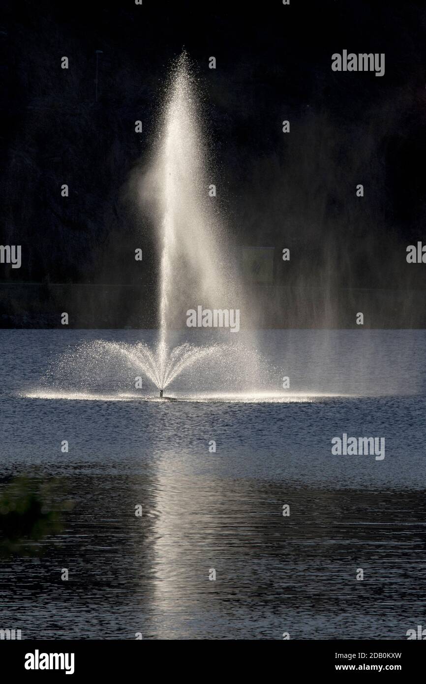 Gallery image with a fresh perspective