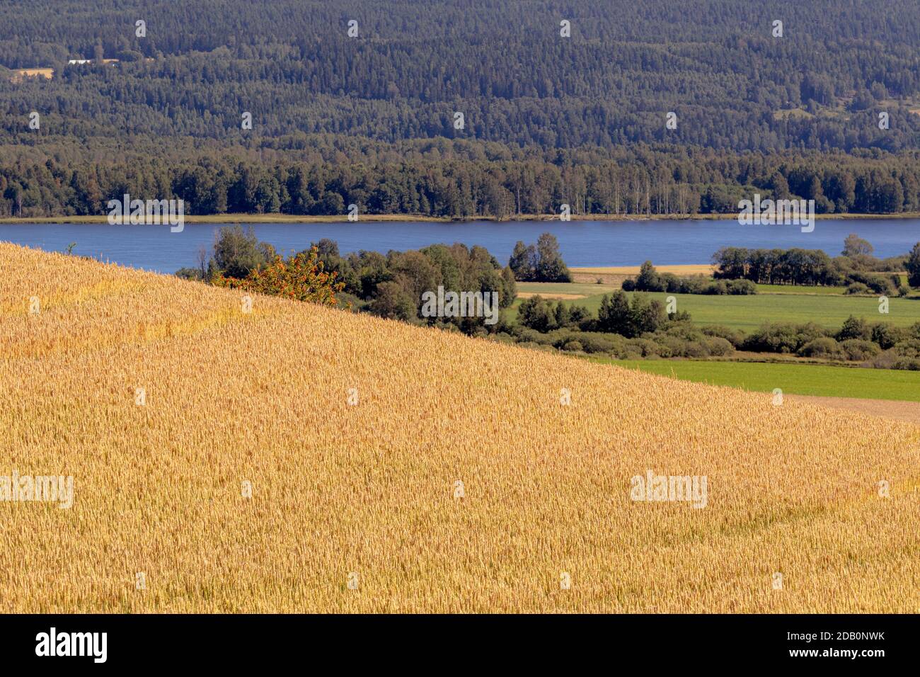 Curated And Deep Coastal Fjords Gallery View 26