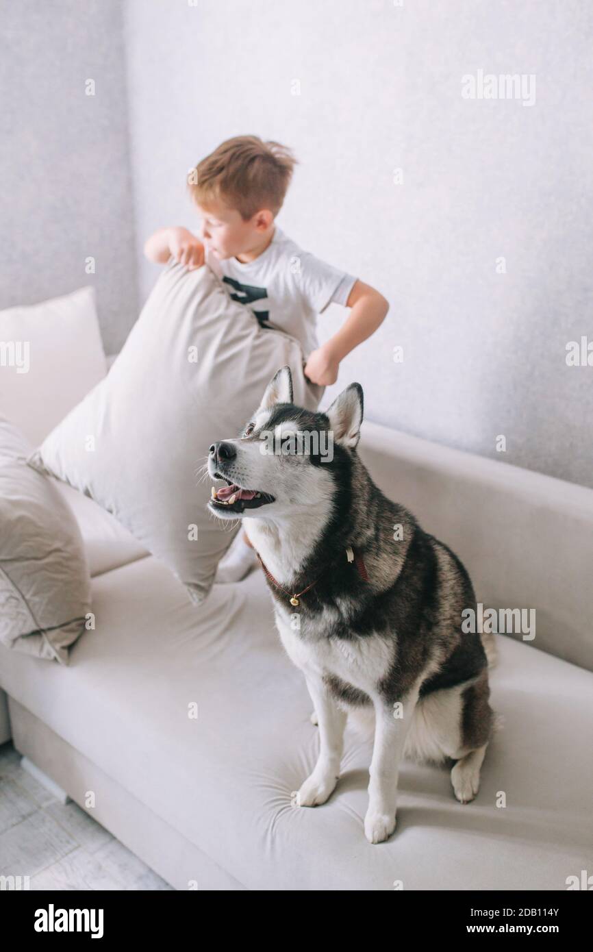 little boy having pillow fight on sofa at home Stock Photo