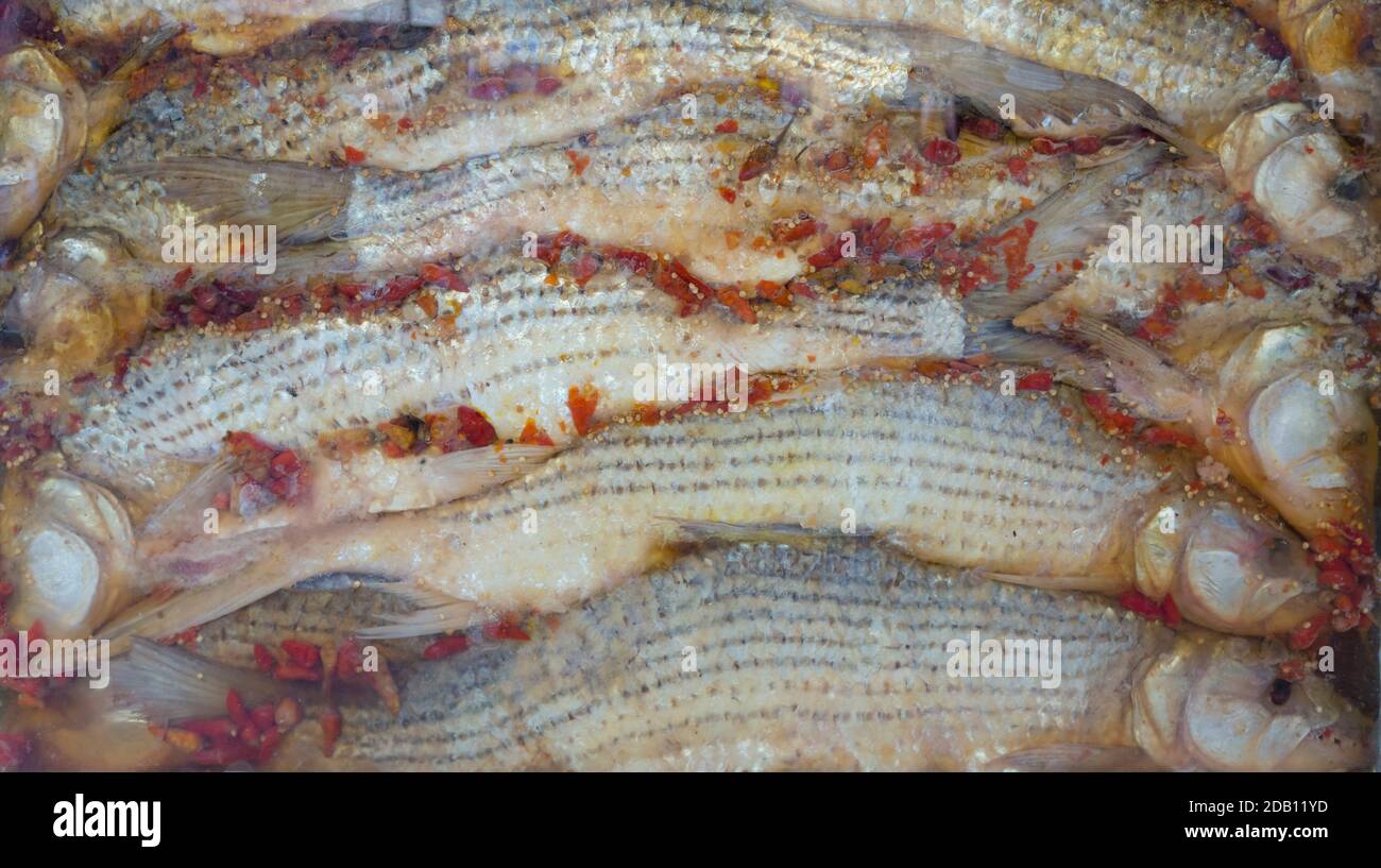 Marinated fish on sale, Aswan, Egypt Stock Photo