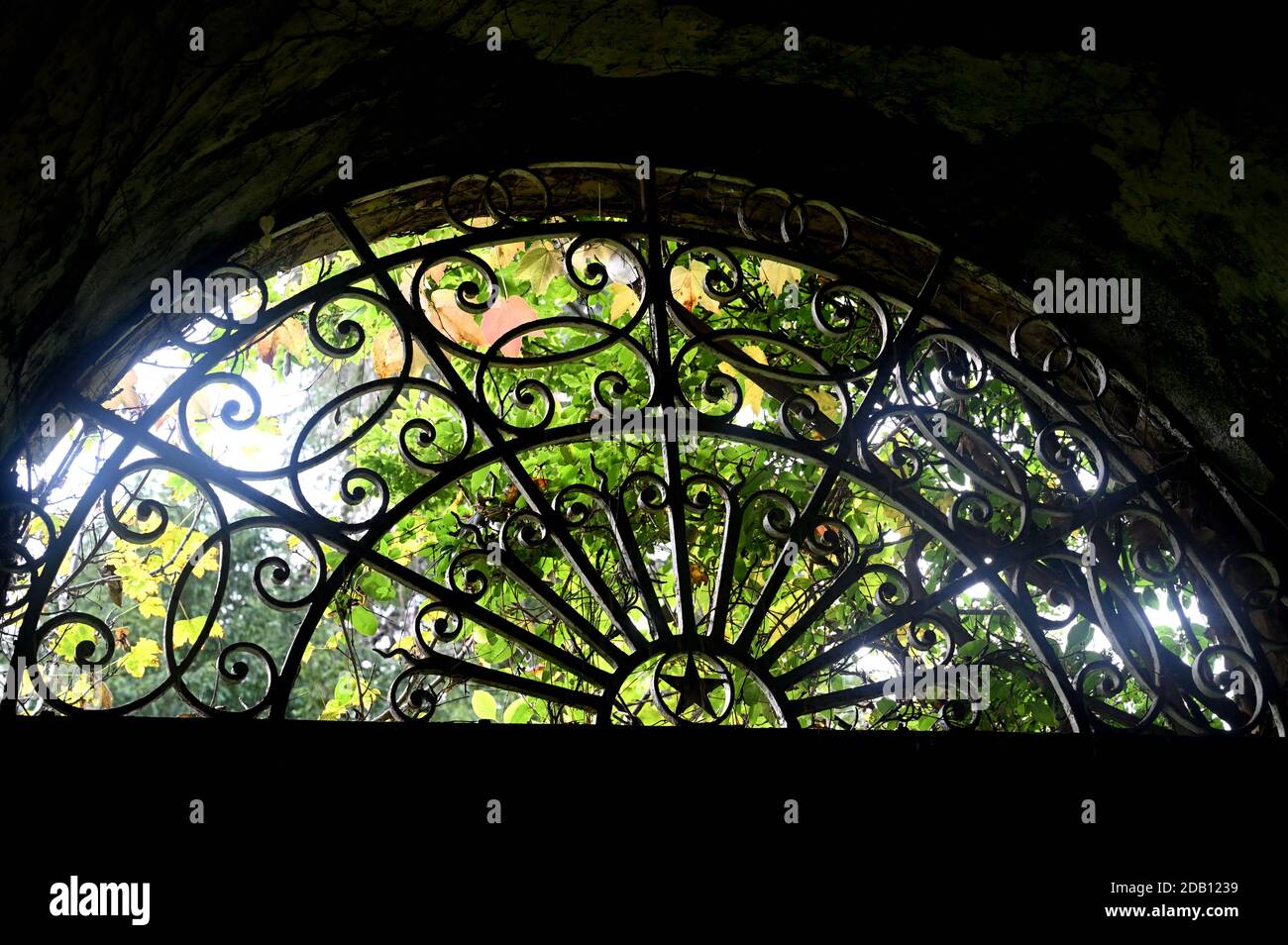 Vegetation over door hi-res stock photography and images - Alamy