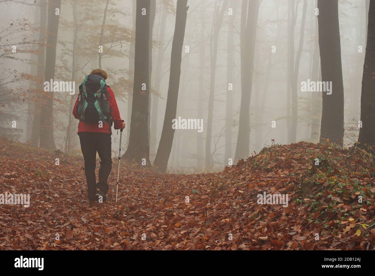 Beautiful woman hiking leaves hi-res stock photography and images - Alamy