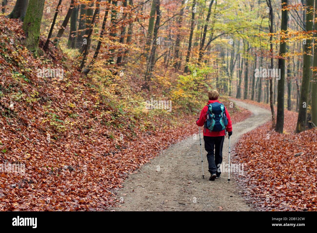 Beautiful woman hiking leaves hi-res stock photography and images - Alamy