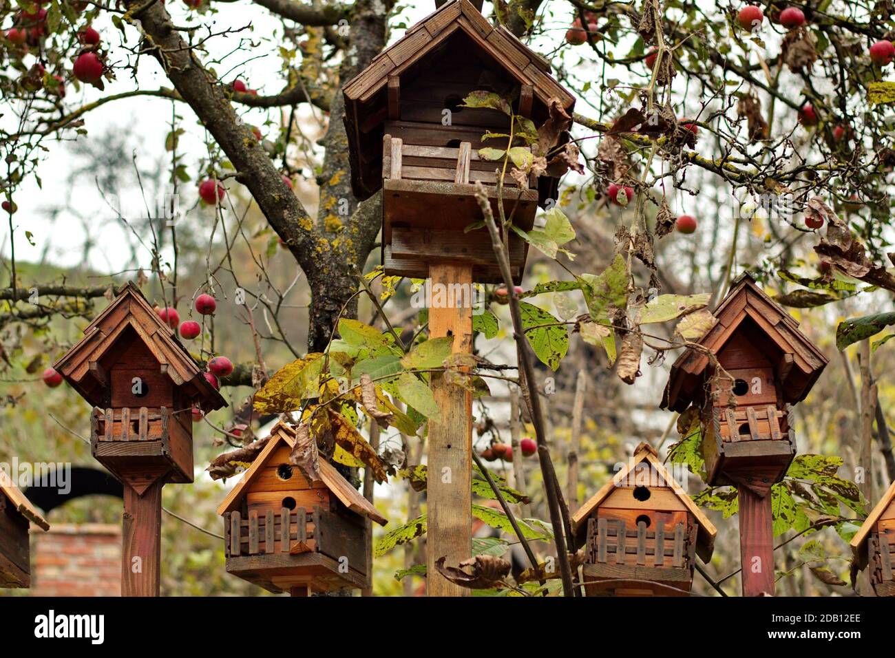 Low angle shot of bird houses in nature Stock Photo