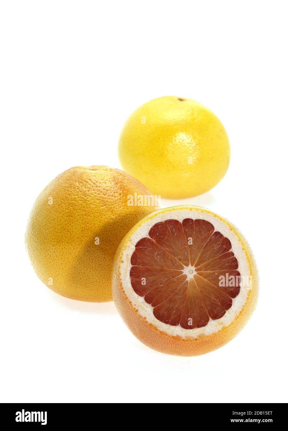 GRAPEFRUIT citrus grandis AGAINST WHITE BACKGROUND Stock Photo Alamy