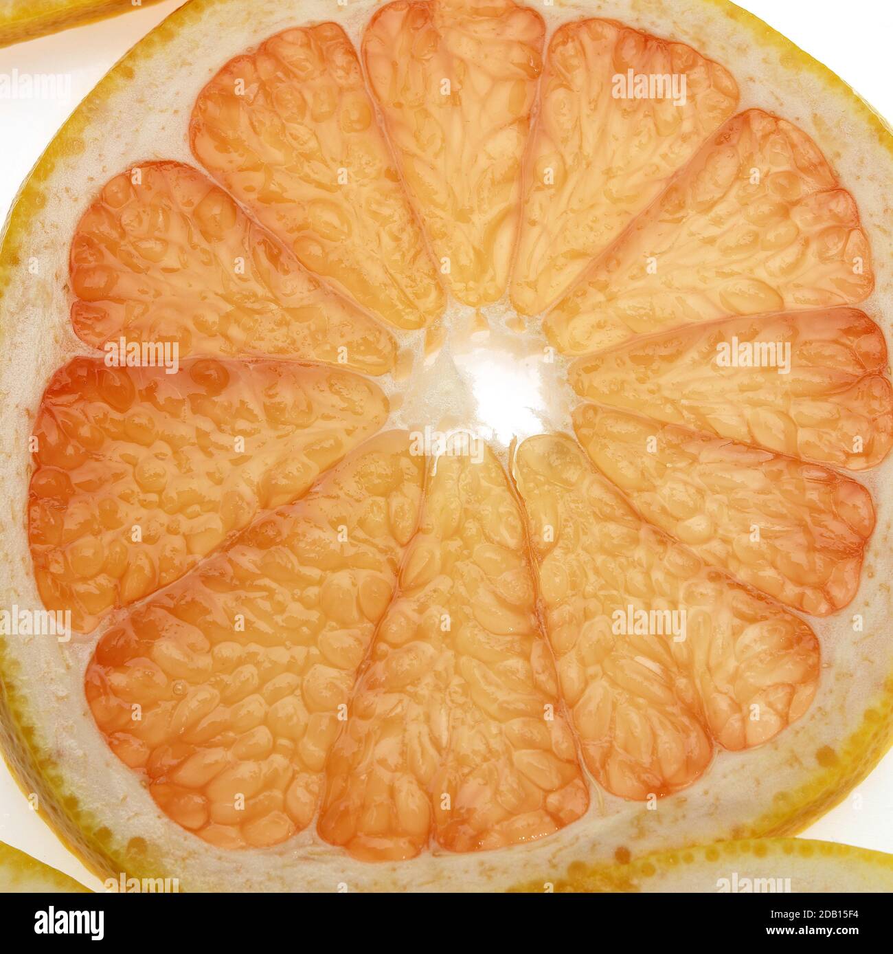 SLICE OF GRAPEFRUIT citrus grandis AGAINST WHITE BACKGROUND Stock Photo