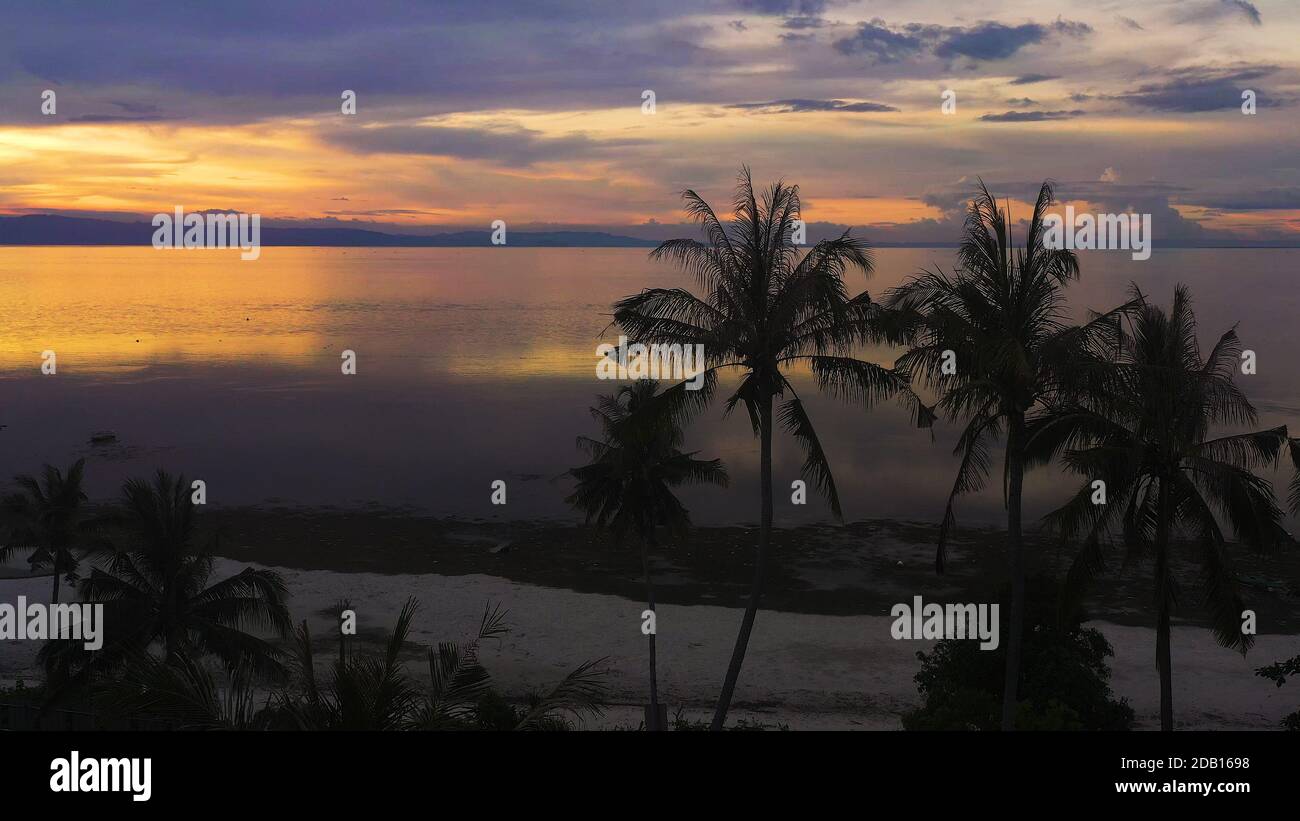 Palm tree blue sea hi-res stock photography and images - Alamy