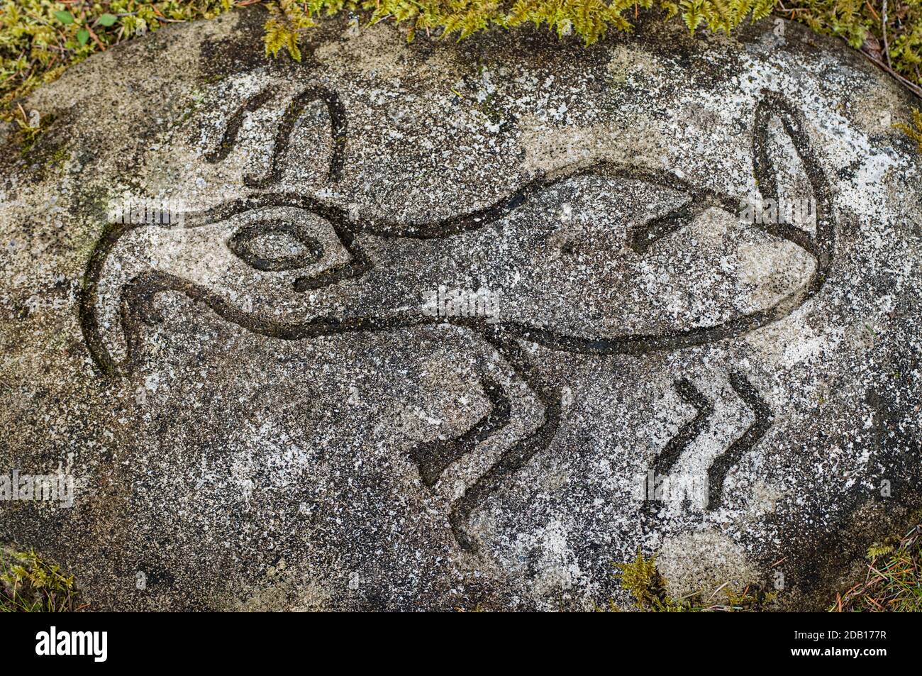 Early mystic rock carvings on Gabriola Island known as part of the Malaspina Gaalleries. Stock Photo
