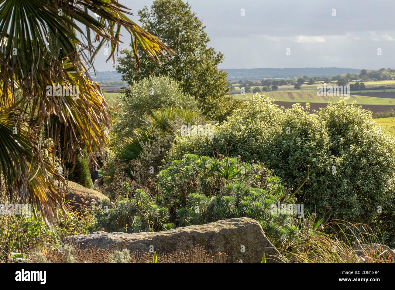 Verdant background features hi-res stock photography and images - Alamy