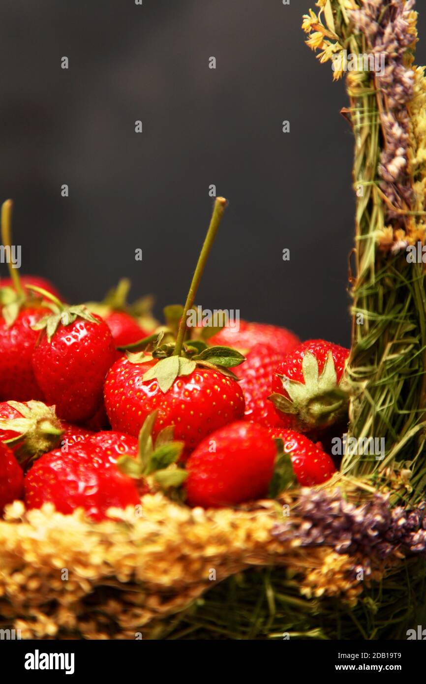 Strawberries in a basket in the garden Stock Photo - Alamy