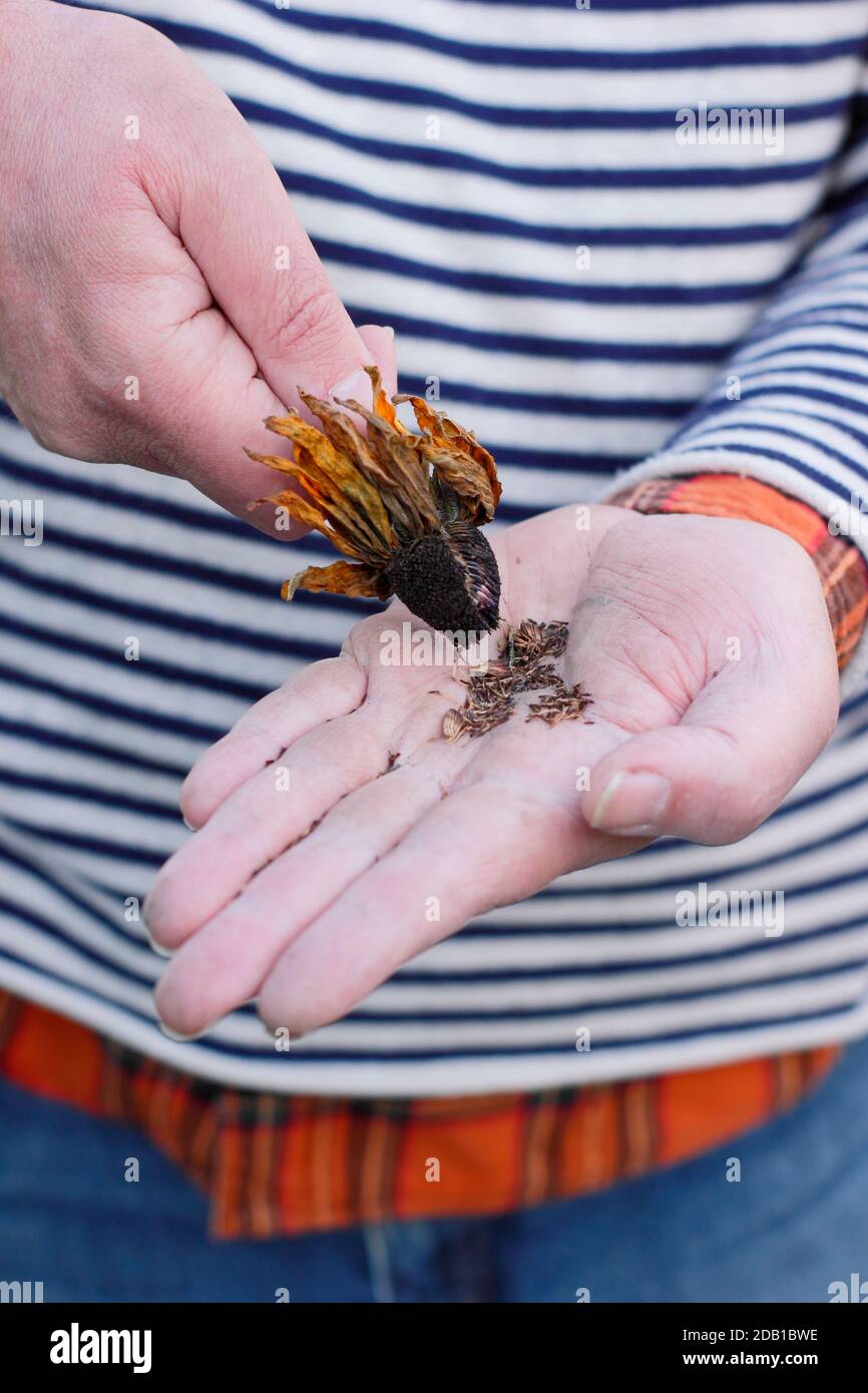 Collecting Seeds High Resolution Stock Photography and Images Alamy