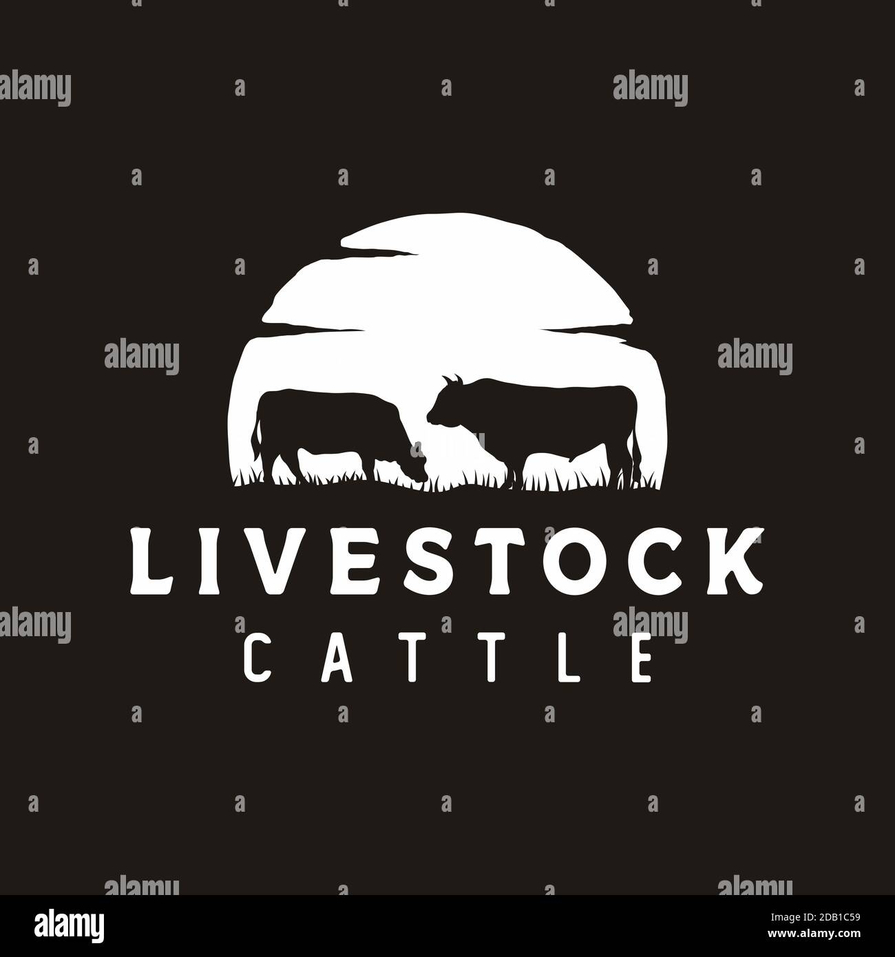 Vintage Angus Cattle or Livestock logo design Stock Vector Image & Art ...