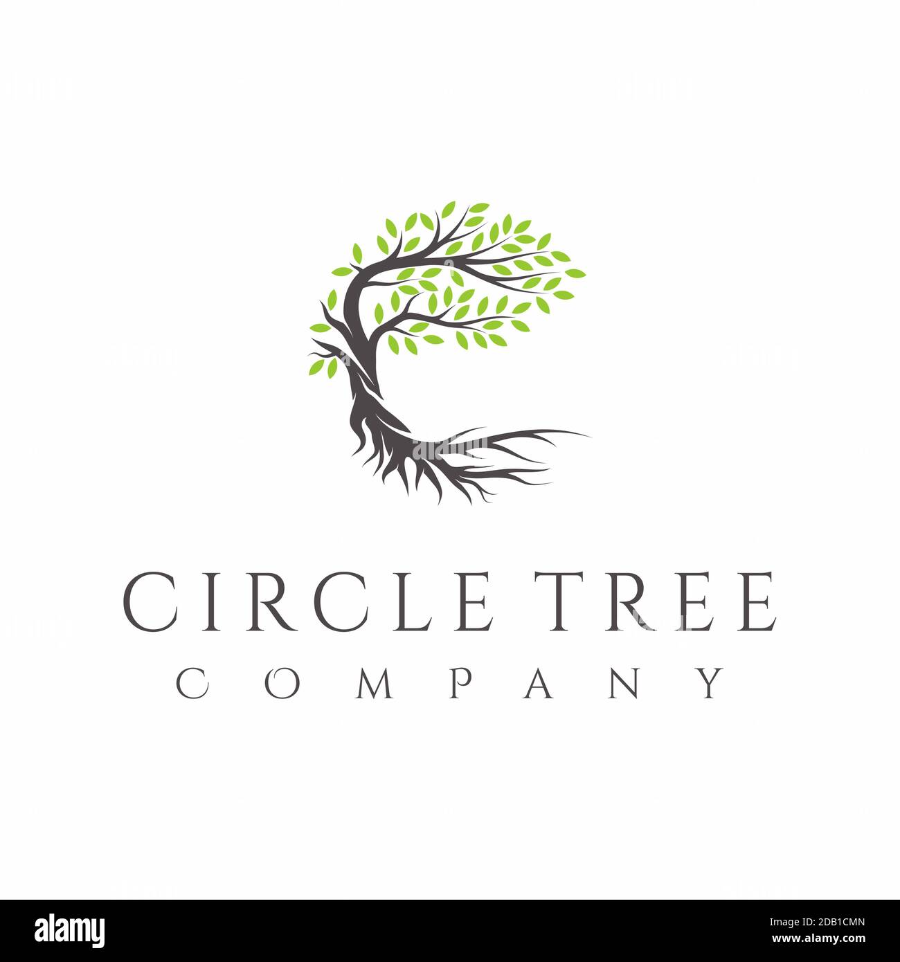 Roots logo deals