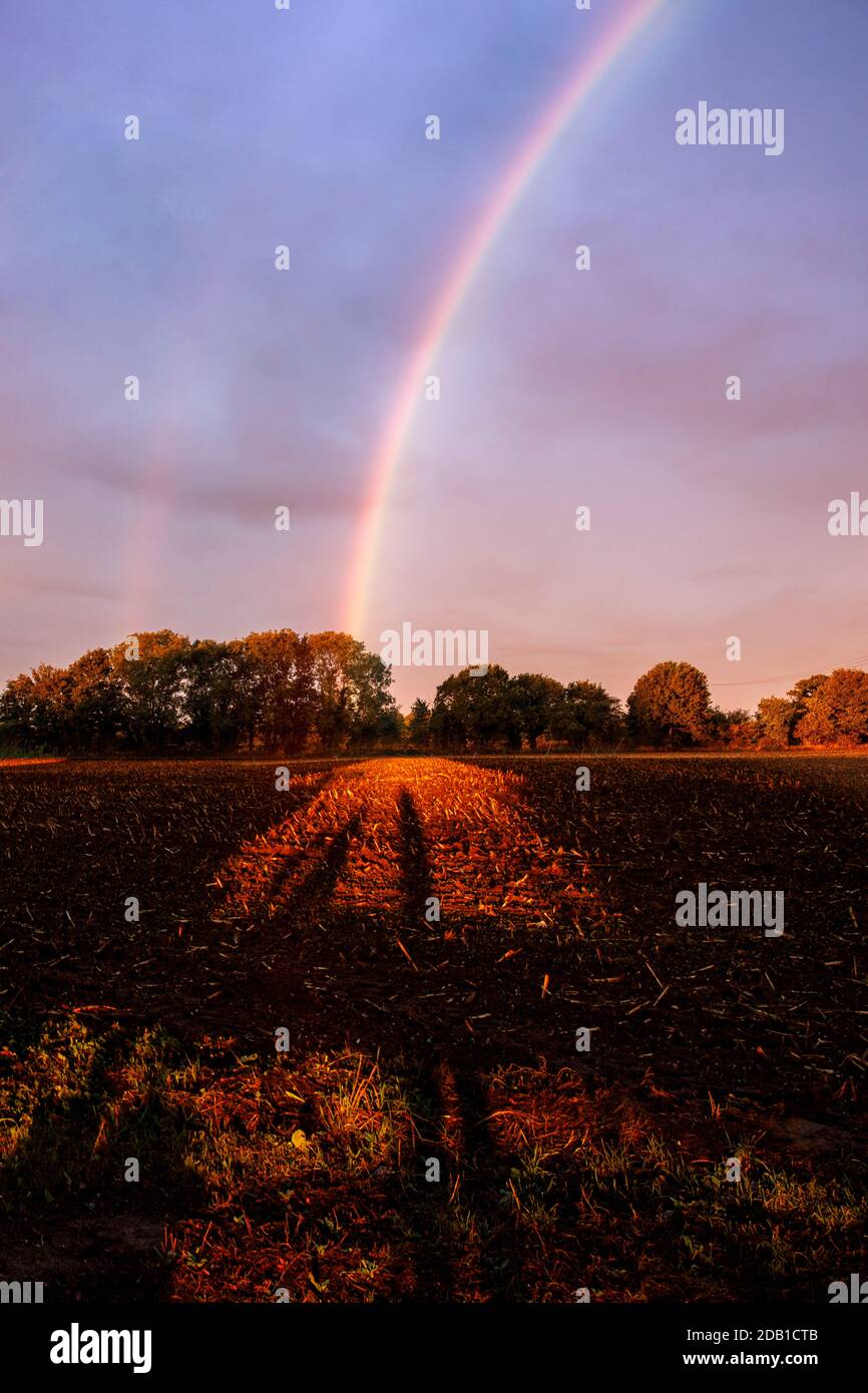 rainbow at sunrise in norfolk field Stock Photo