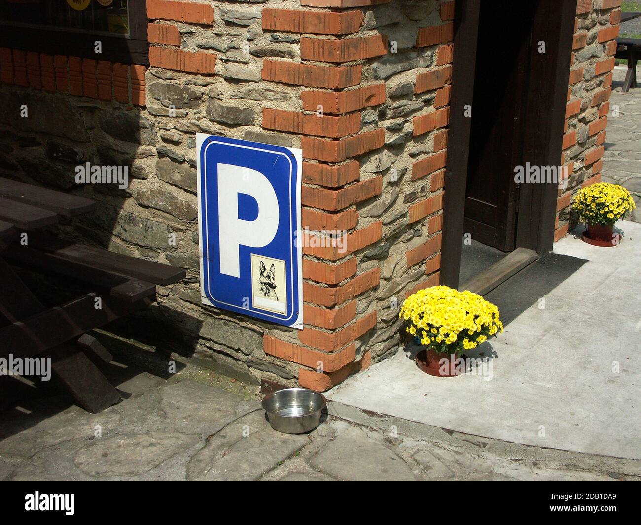 Parking sign and water bowl for thirsty dogs Stock Photo