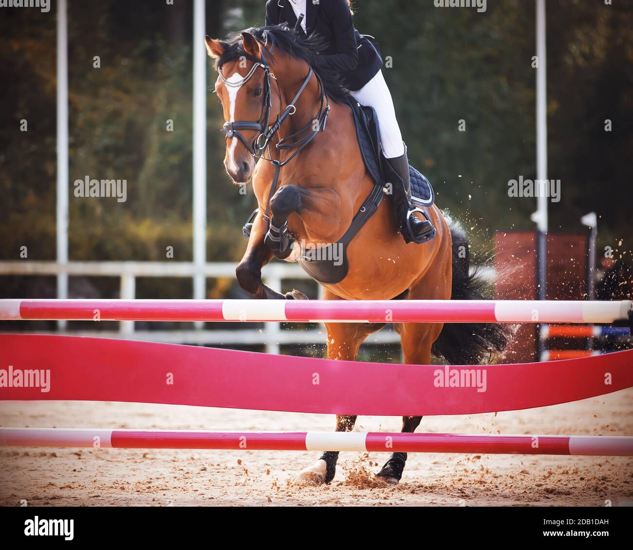 Pink barrier hi-res stock photography and images - Alamy