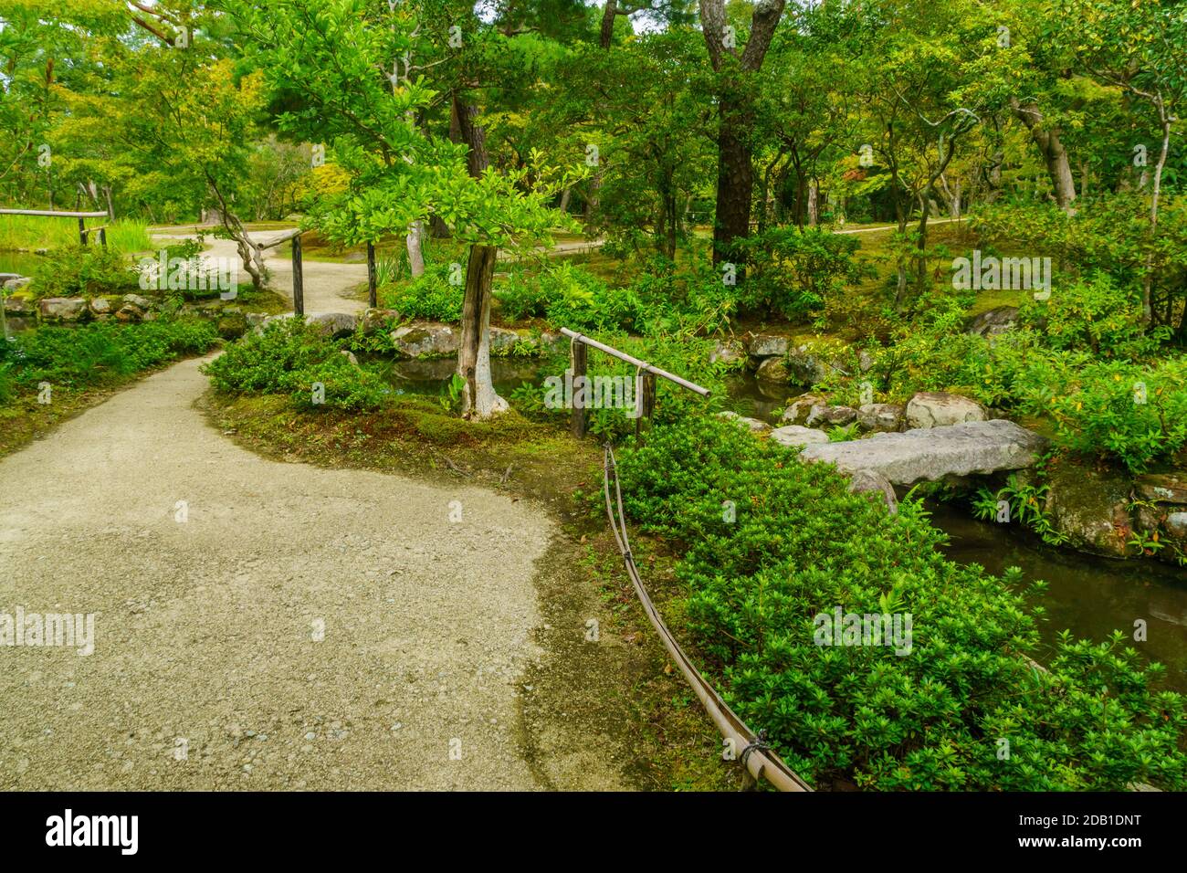 Nara plant hires stock photography and images Alamy