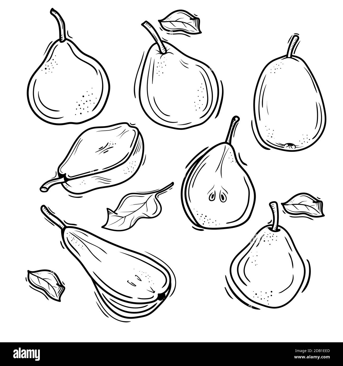 vector illustration of pears in Doodle style Stock Vector Image & Art