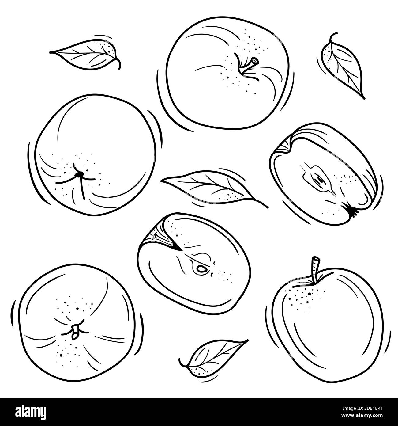 vector illustration of apples in Doodle style. Stock Vector