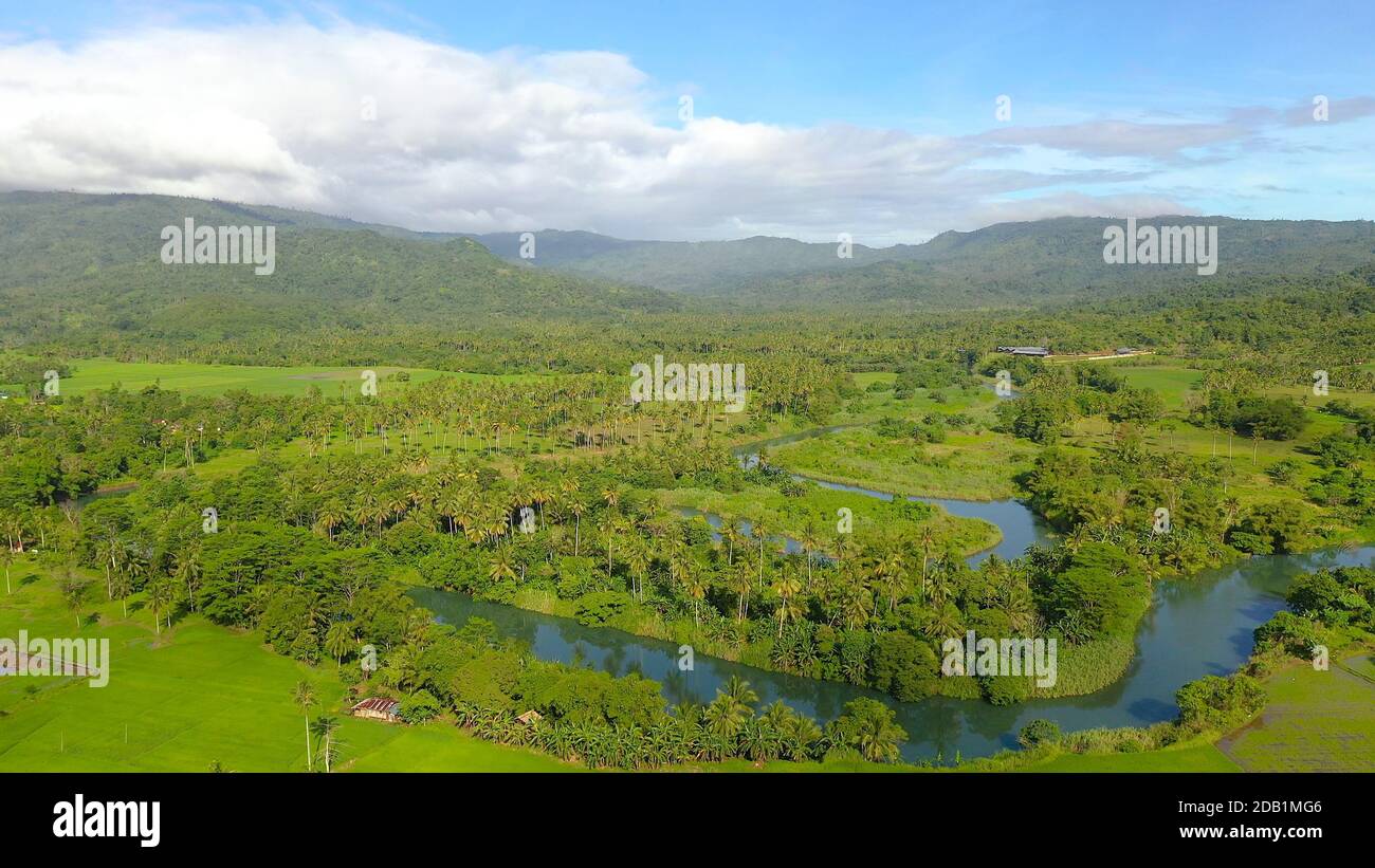 Mindanao Rice Aerial view of Landscape with farmland and green hills. Philippines ...