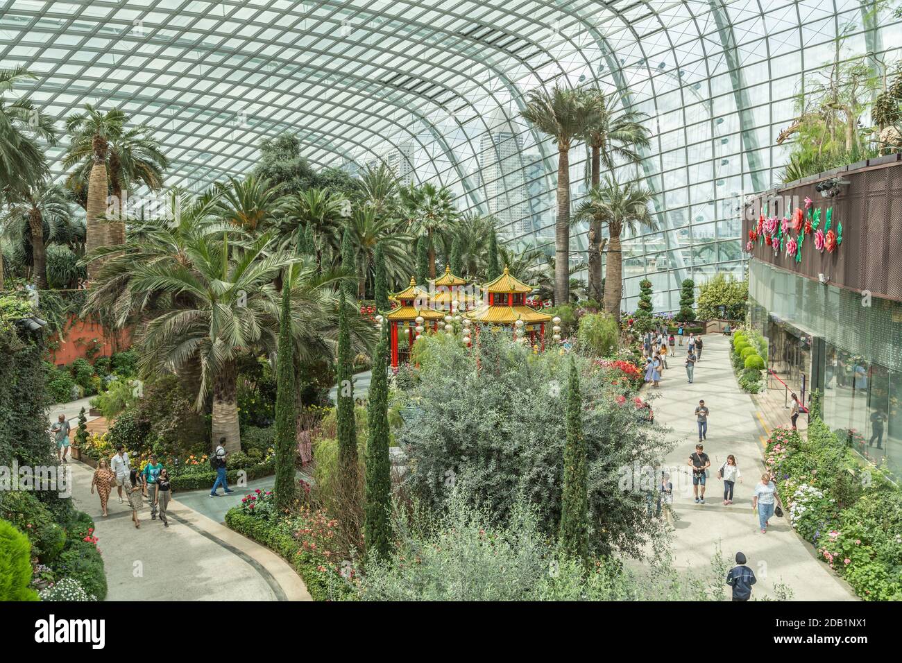 Display of exotic plants inside the Flower Dome at Gardens by the Bay
