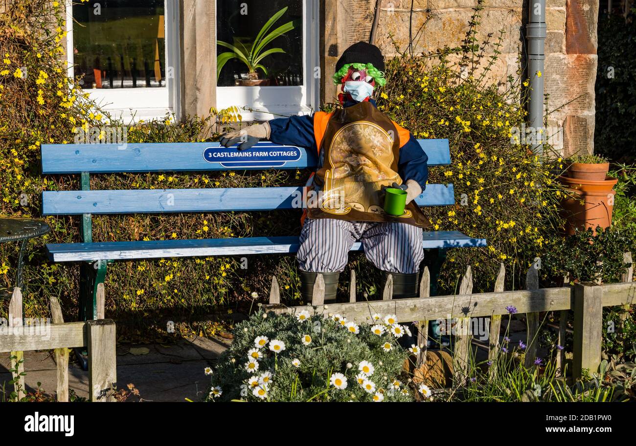 Dirleton, East Lothian, Scotland, UK, Dirleton Village scarecrow competition:  the first project of the village Good Neighbours’ “Reasons to be Cheerful” project encourages residents of all ages to create a scarecrow. The project is funded by a grant from North Berwick Coastal Area Partnership. The aim is bring some fun to this challenging time. A Covid-19 safe scarecrow sitting on a bench wearing a face mask Stock Photo
