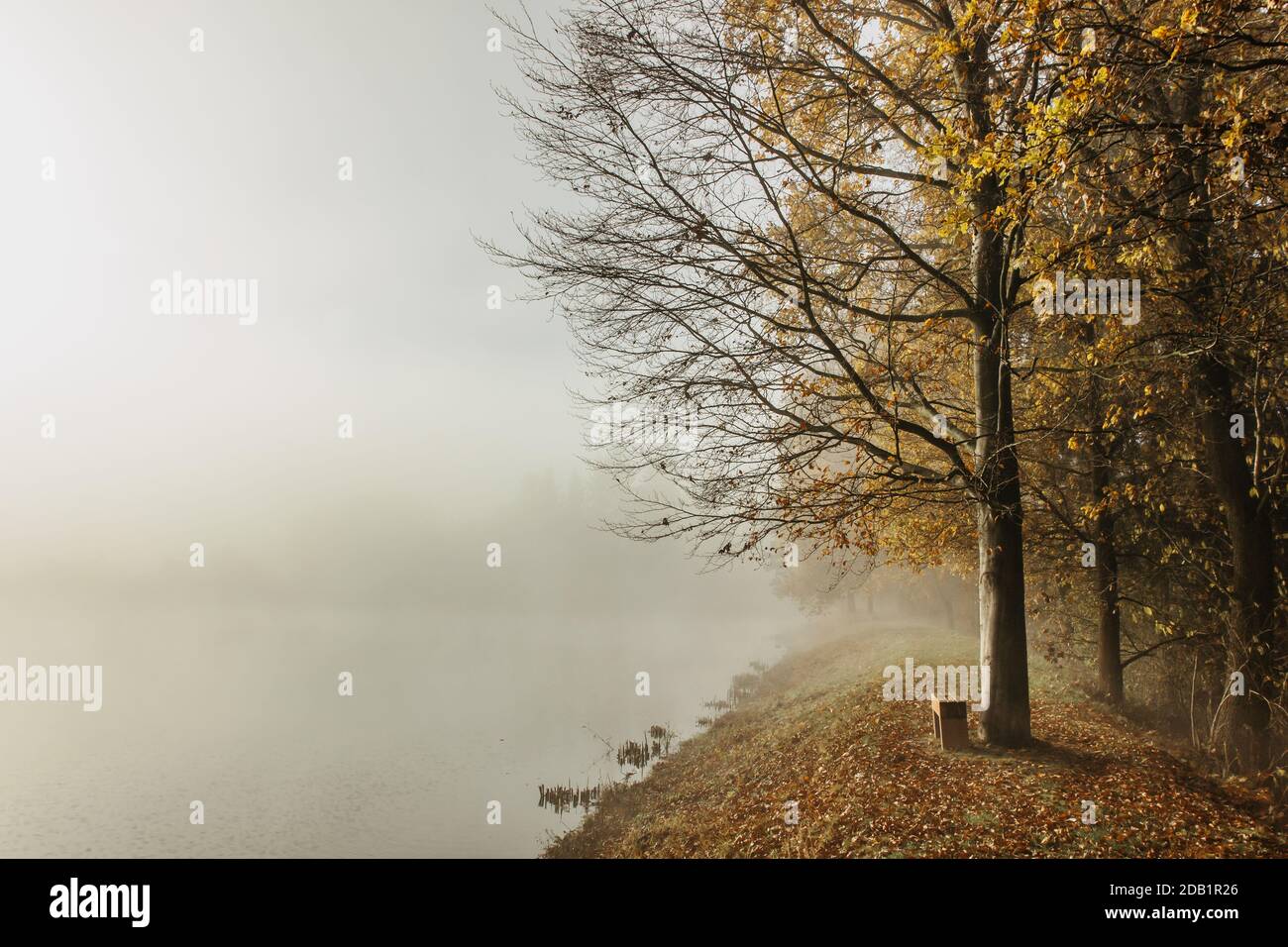 Misty autumn morning in the countryside. Autumn fall nature colors. Foggy morning outdoors. Colorful trees, fog and water. Speechless place. Nobody. R Stock Photo