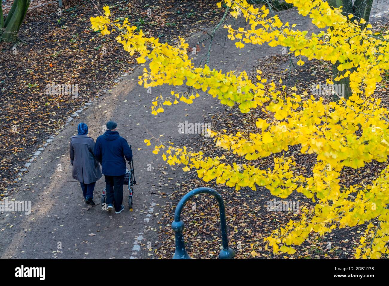 Seniors, elderly people, couple, man with a walker, go for a walk in a city park in autumn, Stock Photo