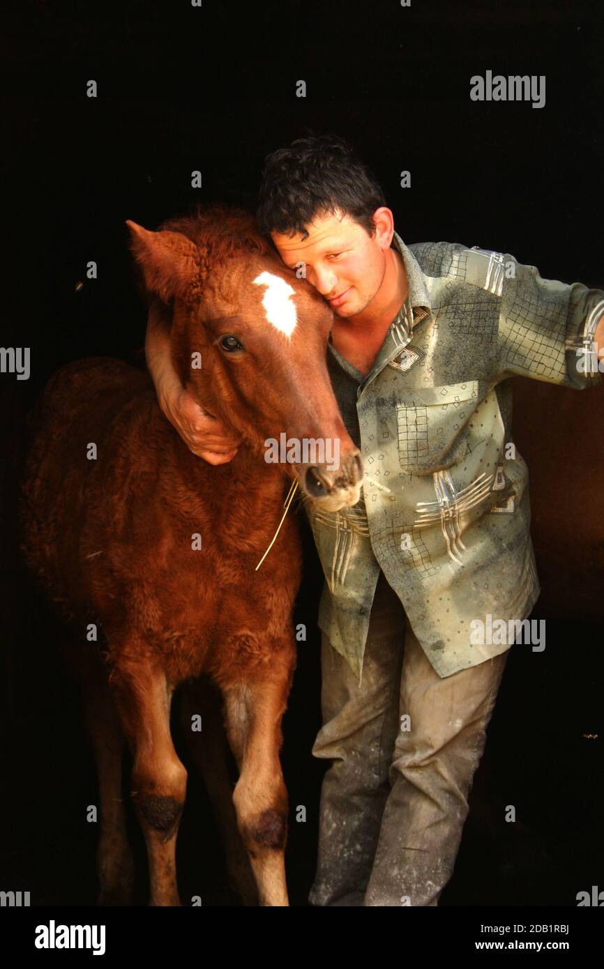 Comitiva de gado, peão de boiadeiro, boi, Bos taurus, Cortege of Cattle,  Peasant of Cowboy, Ox, Miranda, Mato Grosso do Sul, Brazil Stock Photo -  Alamy