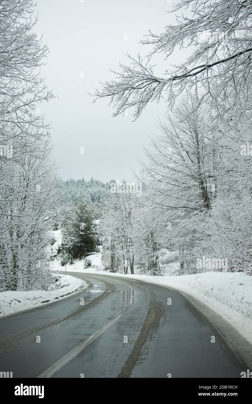 Asphalt road through forest hi-res stock photography and images - Alamy