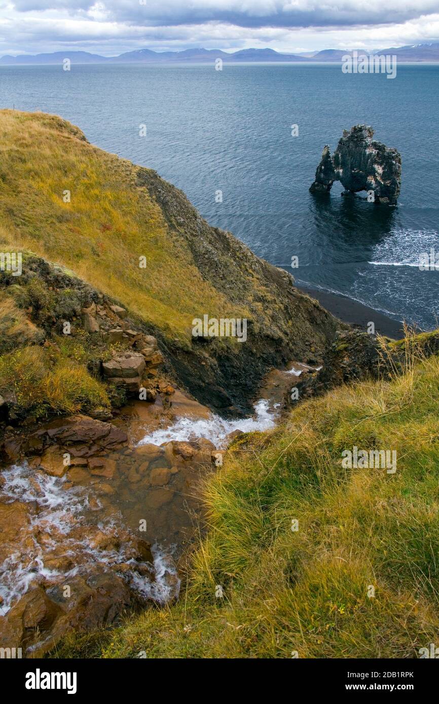 Hvitserkur Sea Stack and Arches on the north coast of Iceland Stock Photo Alamy
