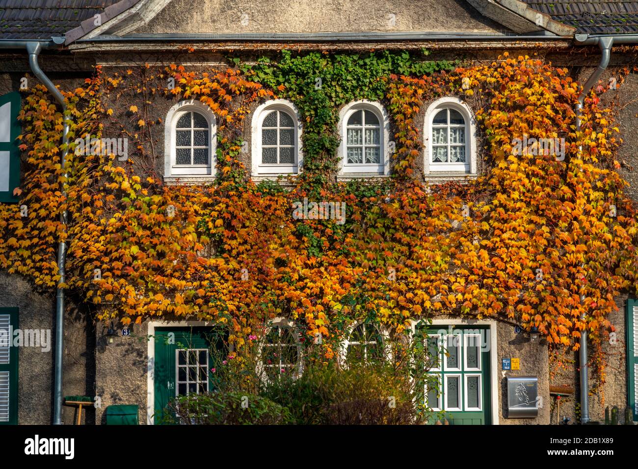 Ivy facades in settlement Margarethenhöhe, in autumn, listed garden city settlement, built from 1906 to 1938, Essen, Germany Stock Photo