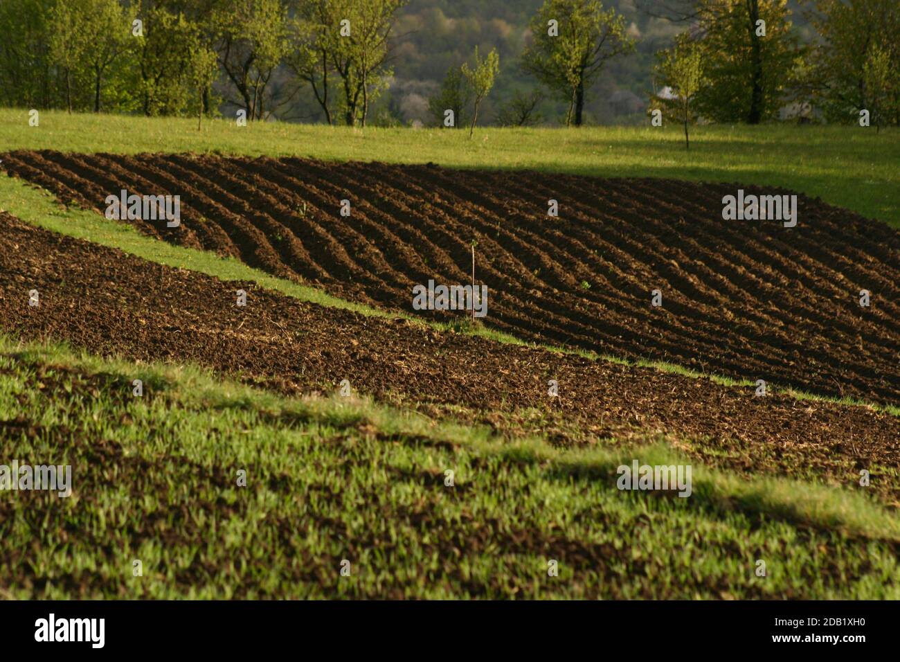 Plowed strip of land in springtime in Romania's countryside Stock Photo