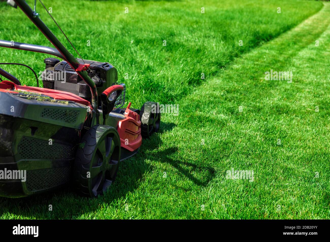Lawn mower cutting tall green grass in backyard Stock Photo Alamy