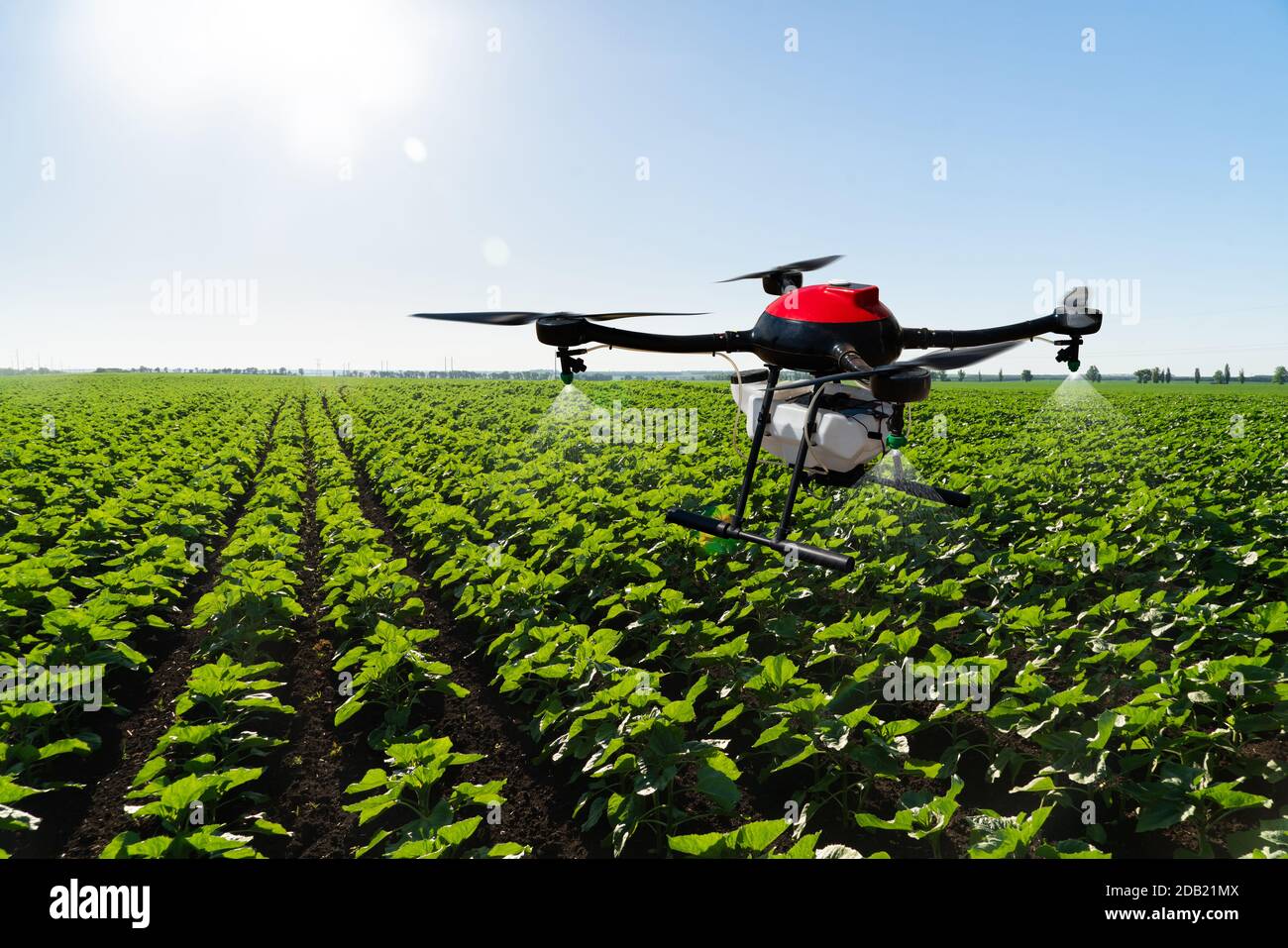 Drone sprayer flies over the agricultural field. Smart farming and precision agriculture Stock