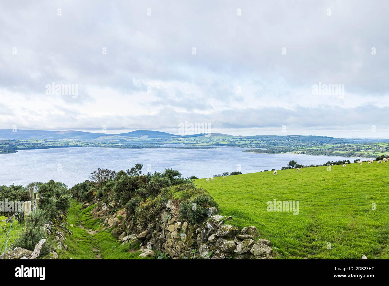 Overlooking Blessington lakes, water reservoir, on an overcast cloudy summers day, County Wicklow, Ireland, Stock Photo