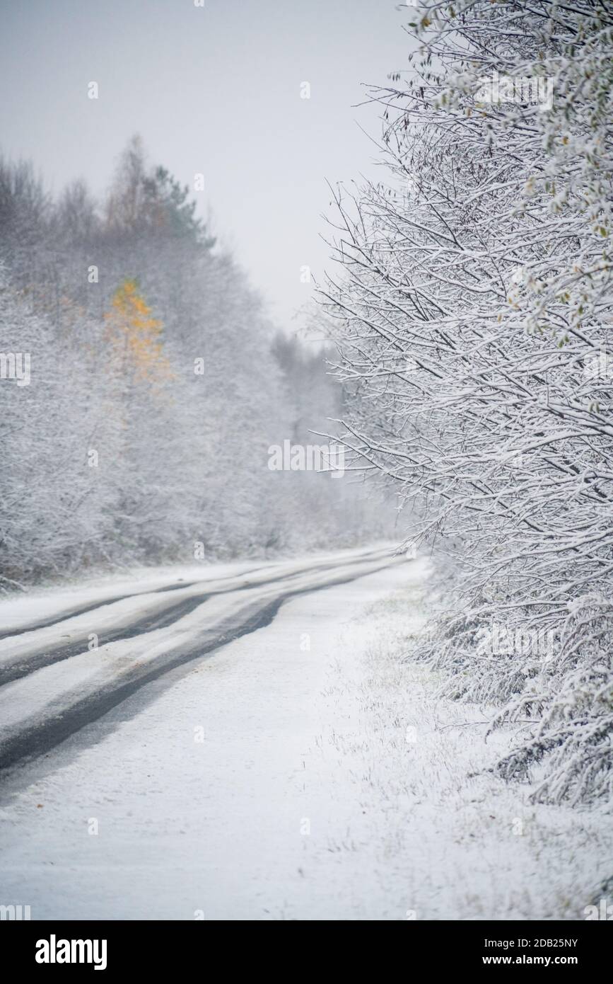 Winter road through the forest Stock Photo - Alamy