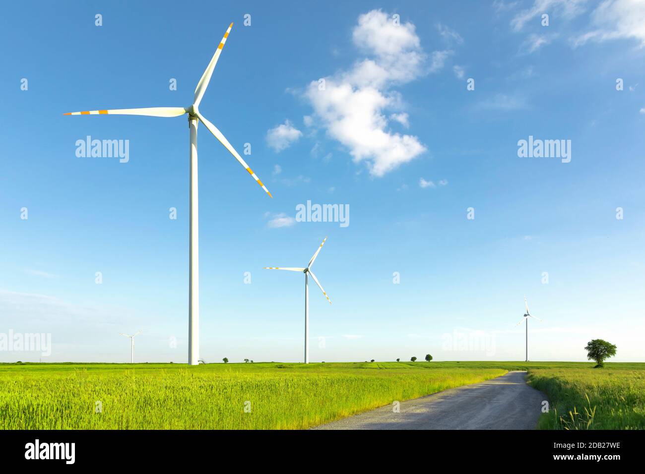 wind turbines in green field, countryside area with blue sky Stock Photo