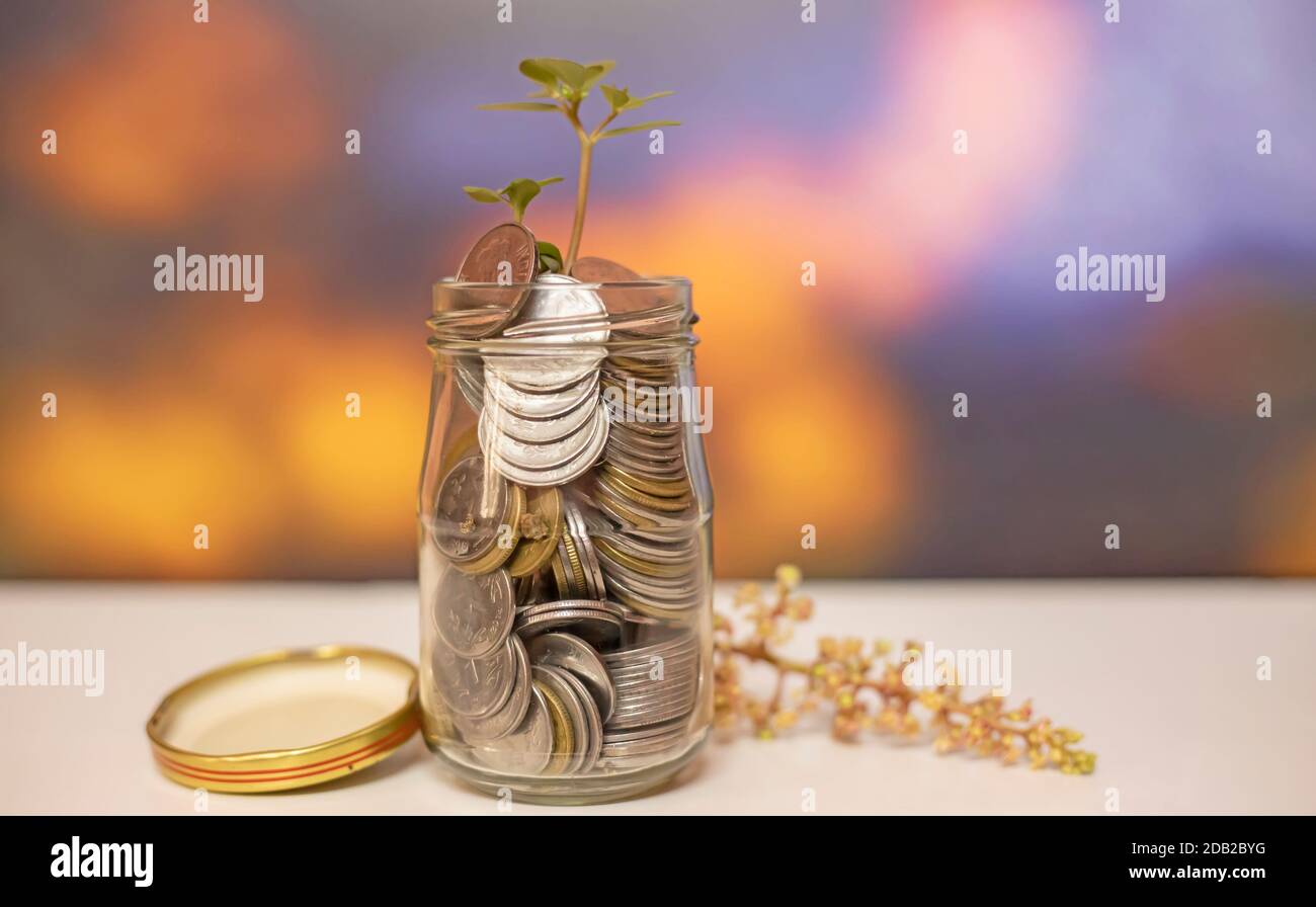 Plant growing from coins in the glass jar on blurred green natural ...