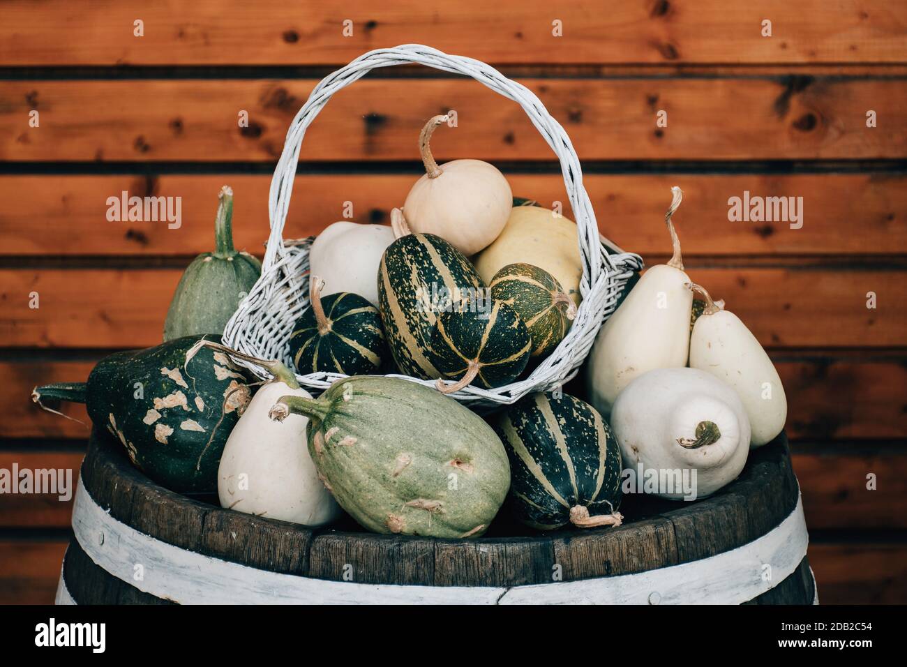 Fresh green pumpkins hi-res stock photography and images - Alamy