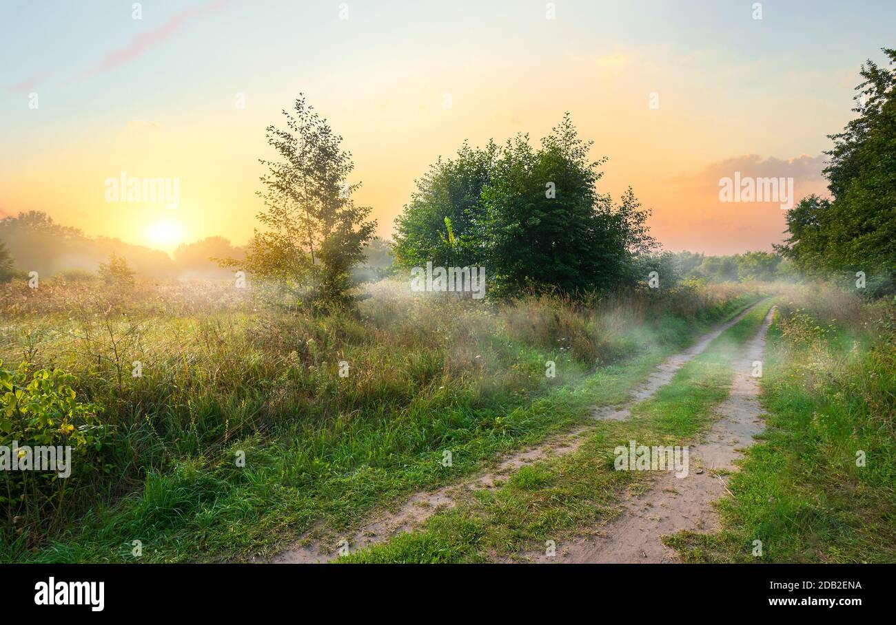 Road and the spring field at the sunrise Stock Photo - Alamy