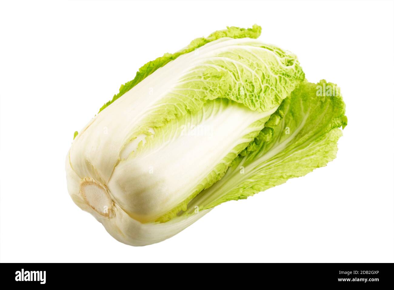 Chinese cabbage isolated on a white background Stock Photo