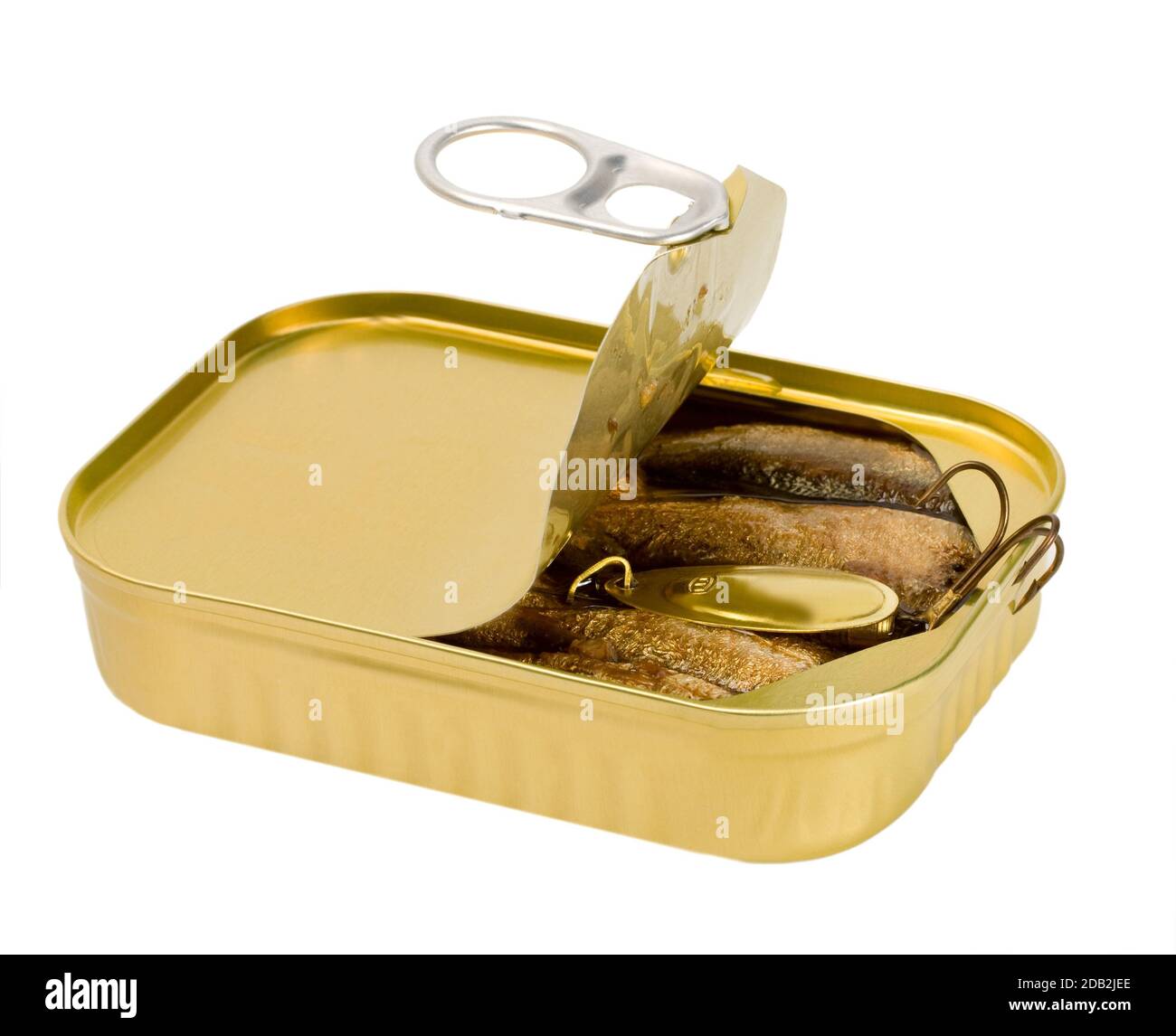 fish bait in open sardine can isolated on white background Stock Photo