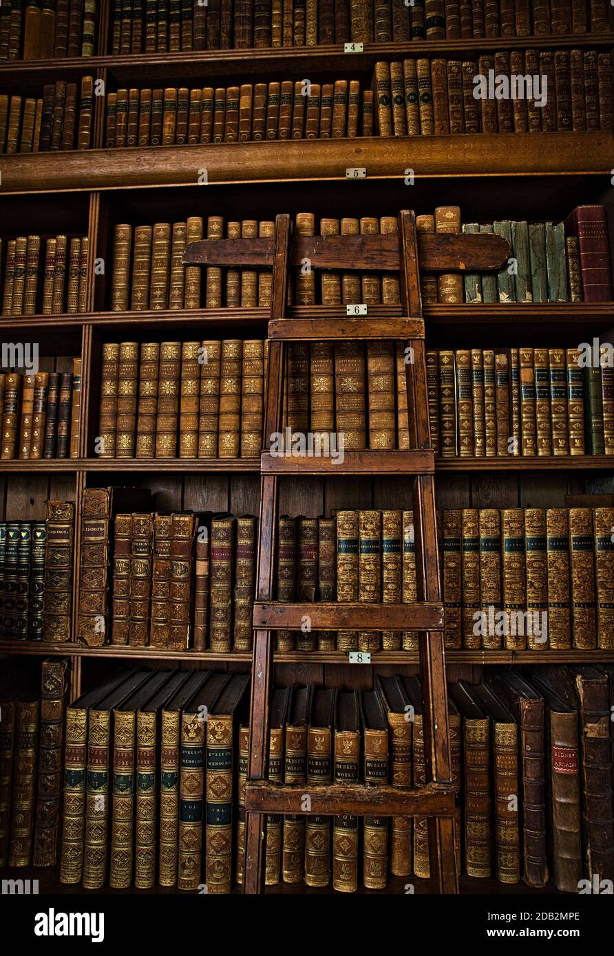GREAT BRITAIN / England /Derbyshire/Ashbourne/ Tissington Hall /The Library boasts a collection of over 3,000 books Stock Photo