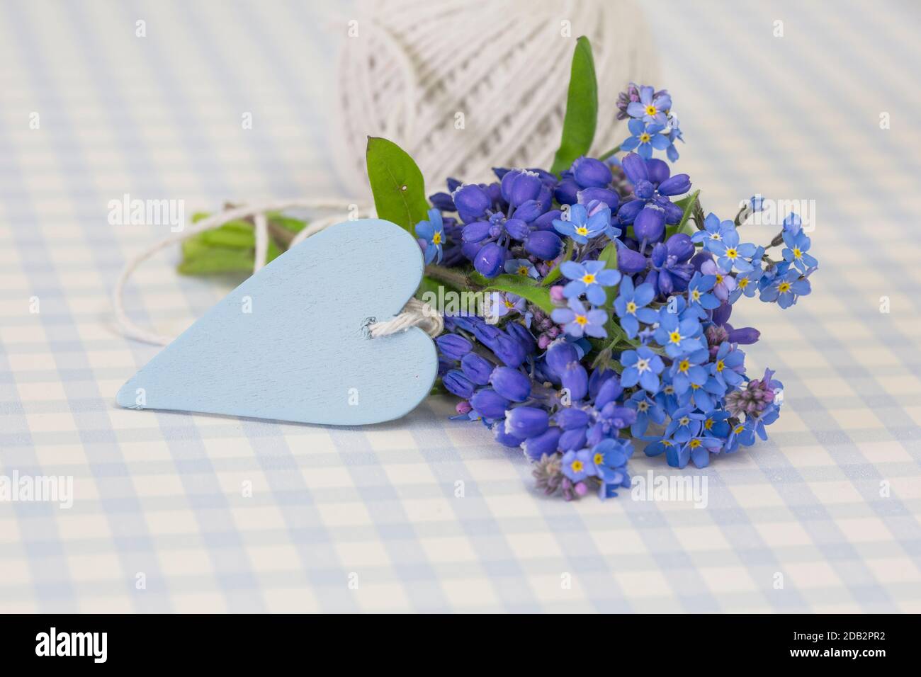 Forget Me Not, Small Flowers In The Shape Of A Heart Stock Photo, Picture  and Royalty Free Image. Image 8171167.